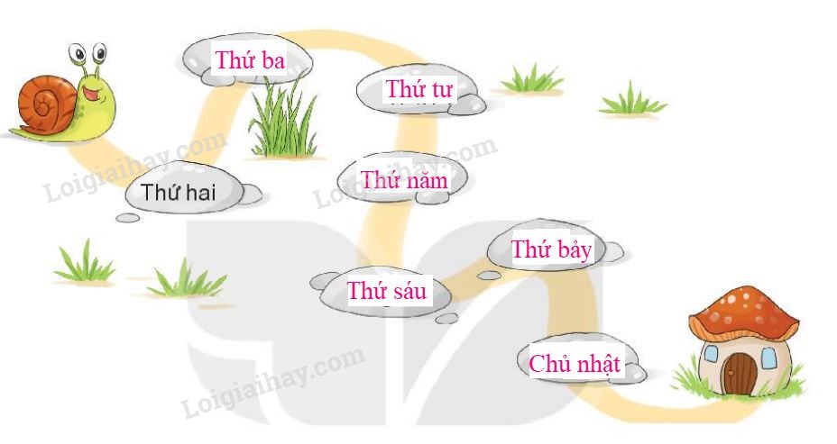 20240517072553tr loi bai 1 tr78 1