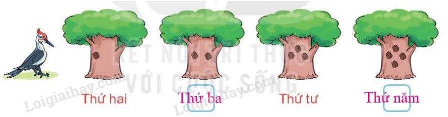 20240517072553tr loi bai 2 tr77 1