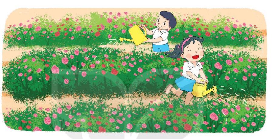 20240517072605bai 3b tr99 1