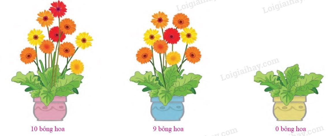 20240517074118bai 1 tr20 5