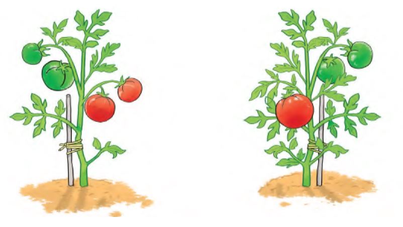 20240517074120bai 2 tr23 1