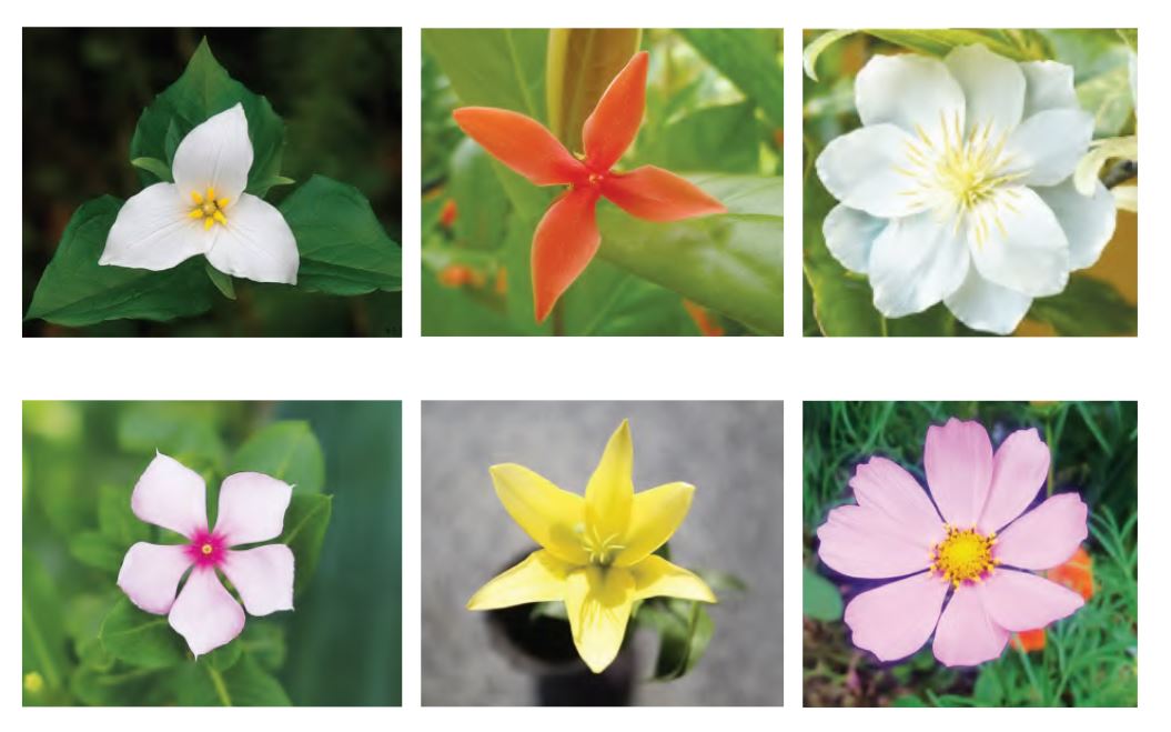 20240517074126bai 6 tr28 1