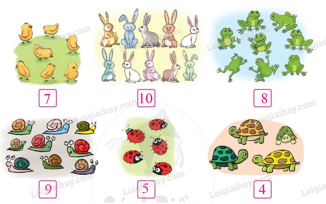 20240517074226tr loi bai 1 tr82