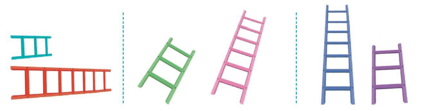 20240517074250bai 1b tr113 1