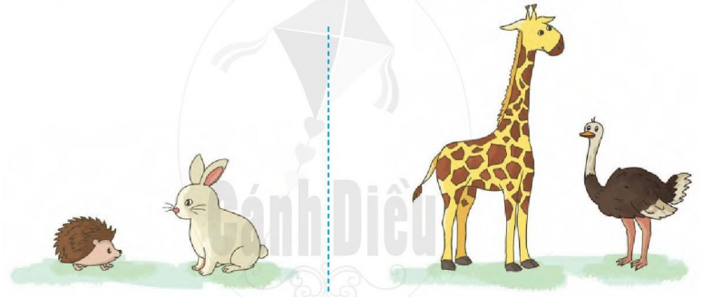 20240517074250bai 3 tr114 1