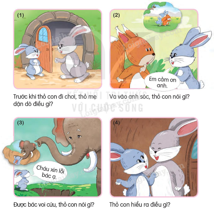 2024051708251412 5 1