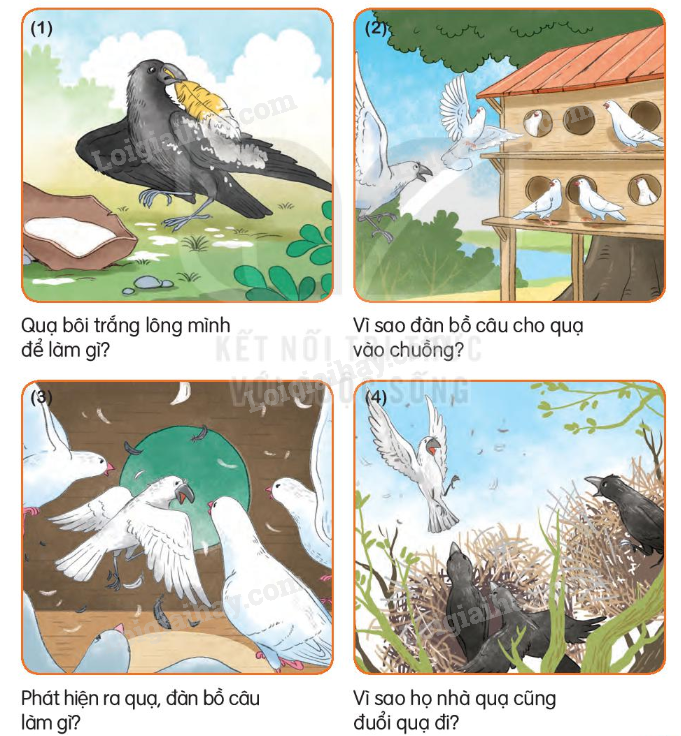 2024051708251714 5 1