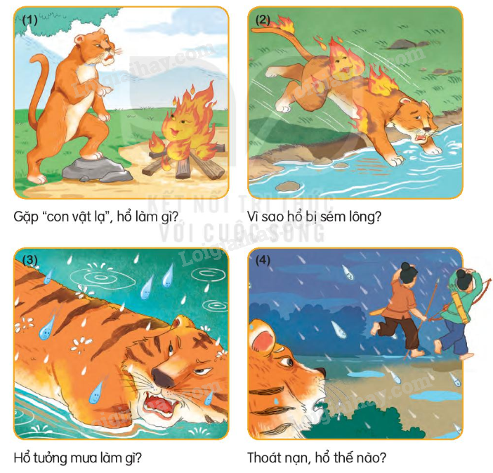 2024051708251815 5 1