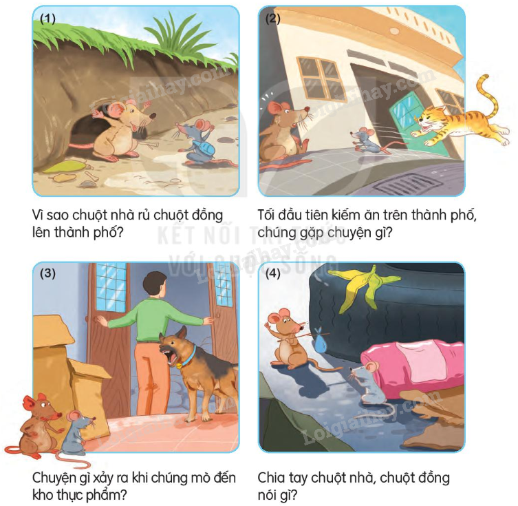 2024051708251916 5 1