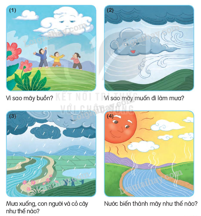 2024051708252117_4-1 2024051708252117 4 1