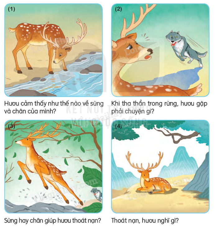 2024051708252318 3 1