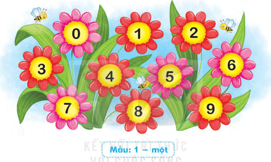 2024051708252726_4 2024051708252726 4