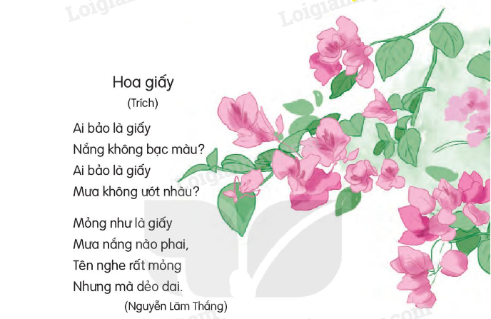 2024051708253033 4 1