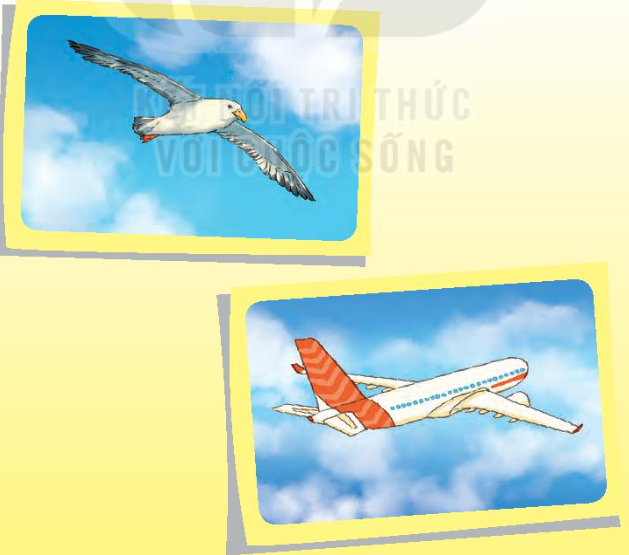 2024051708264362 2024051708264362