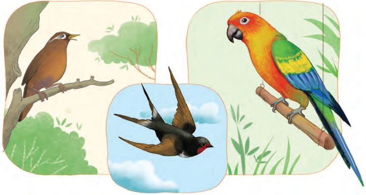 2024051708264364 2024051708264364