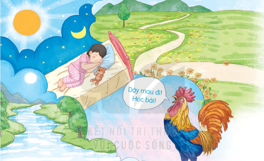 20240517082655218-1 20240517082655218 1