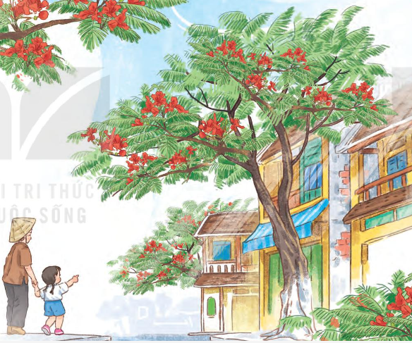 Bài 7: Hoa phượng trang 140 Tiếng Việt 1 - Kết nối tri thức tập 2: Em biết gì về loài hoa này? 7 20240517082704232