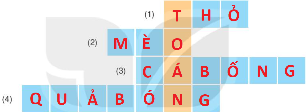 20240517082707240 20240517082707240