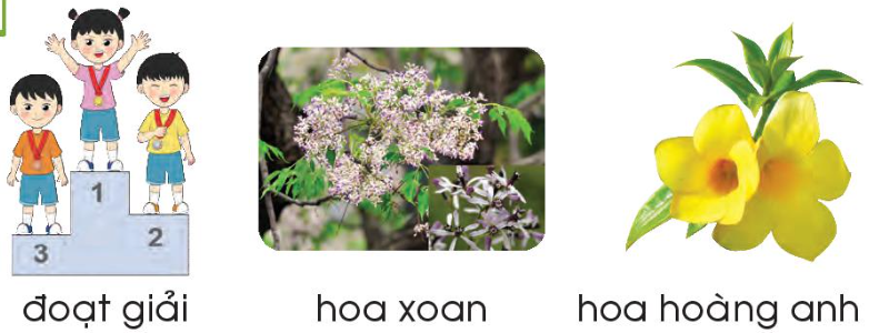 2024051708463615-3 2024051708463615 3