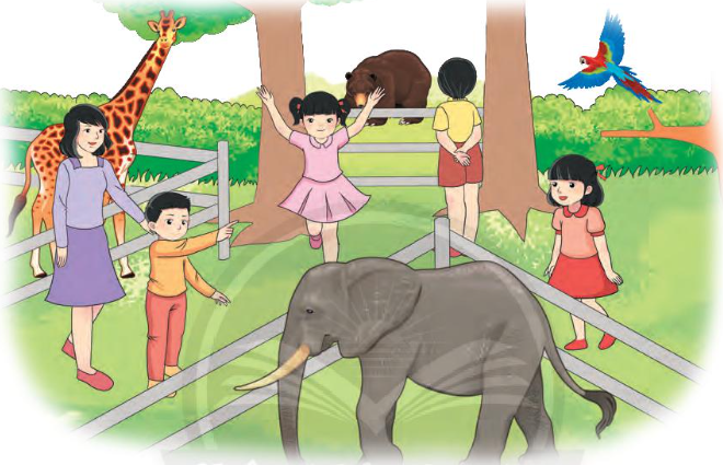 Bài 2: Vui học ở Thảo cầm viên trang 83 Tiếng Việt 1 - Chân trời sáng tạo tập 2: Thảo cầm viên có những khu vực nào? 4 20240517084728232 2