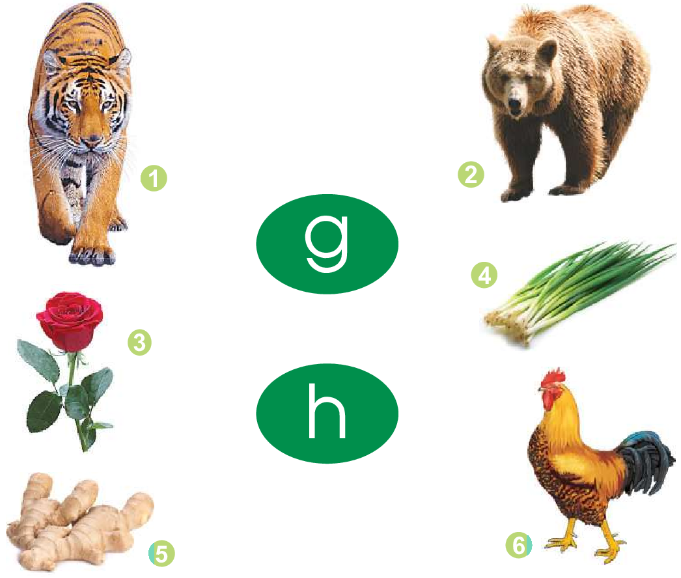 20240517090422214 20240517090422214