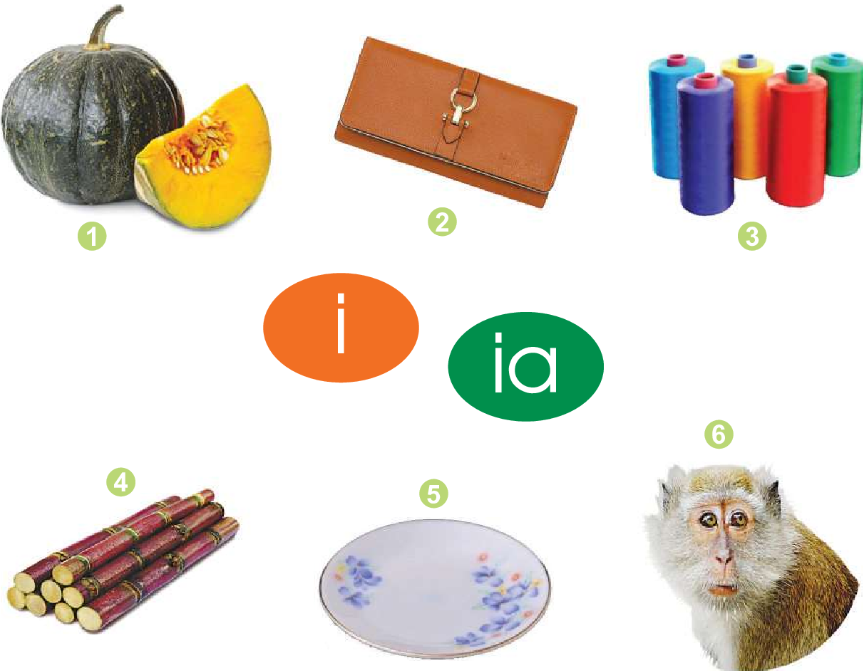 20240517090423215 20240517090423215