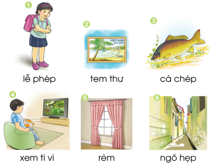 20240517090506411 1 1