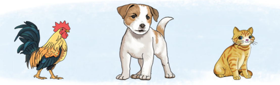 20240517090559732_1 20240517090559732 1