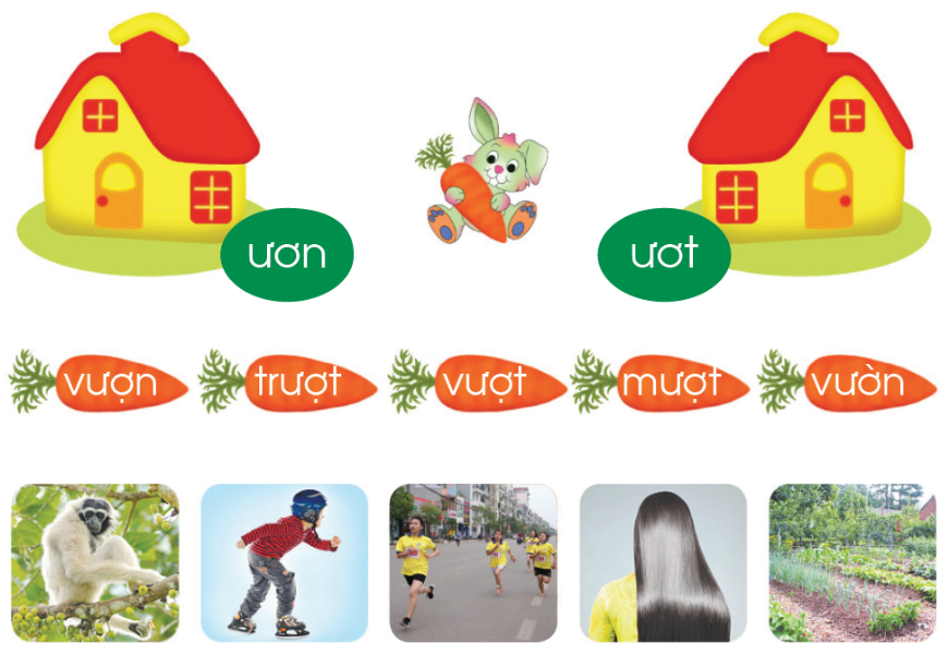 20240517090600761-1 20240517090600761 1