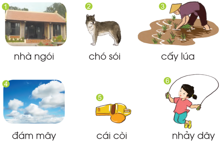 202405170906371001 1