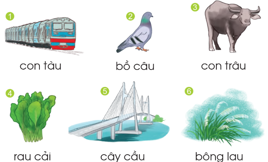 Bài 107: au âu trang 26 Tiếng Việt 1 - Cánh diều tập 2: Tiếng nào có vần au? Tiếng nào có vần âu? 5 2024051709064771