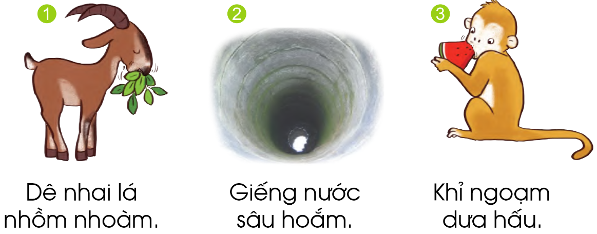Bài 118: oam oăm trang 44 Tiếng Việt 1 - Cánh diều tập 2: Tiếng nào có vần oam? Tiếng nào có vần oăm? 2 20240517090701181