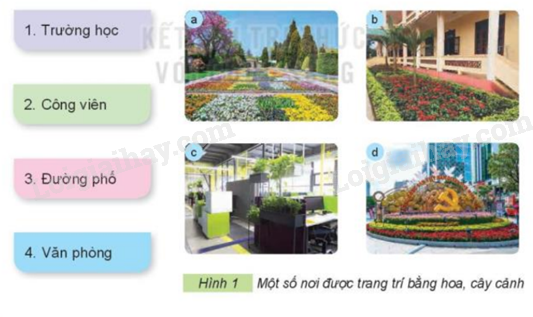 202406031509031-1 202406031509031 1