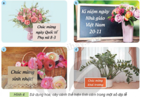 202406031509081_4-1 202406031509081 4 1