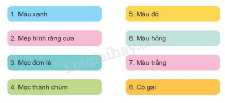 202406031509101 15 1