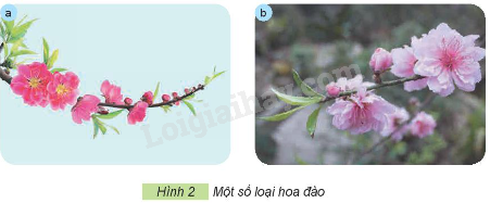 202406031509111 17 1