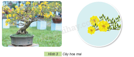 202406031509121_18-1 202406031509121 18 1