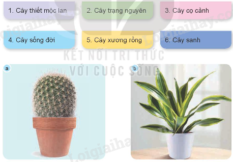 202406031509151 20 1