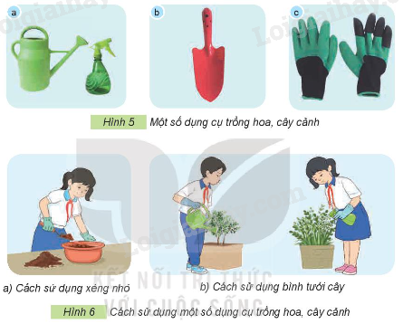 202406031509191 30 1