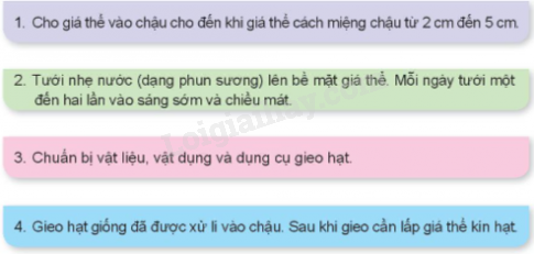 202406031509221 34 1