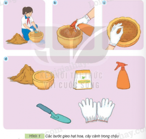 202406031509221 35 1