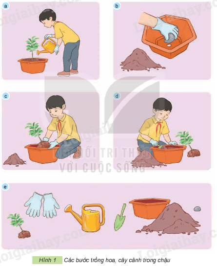 202406031509251 37 1