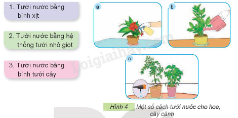 202406031509281 41 1