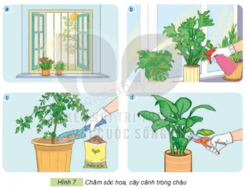 202406031509321 44 1