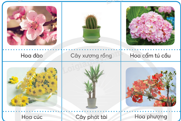 202406031523031_17-1 202406031523031 17 1