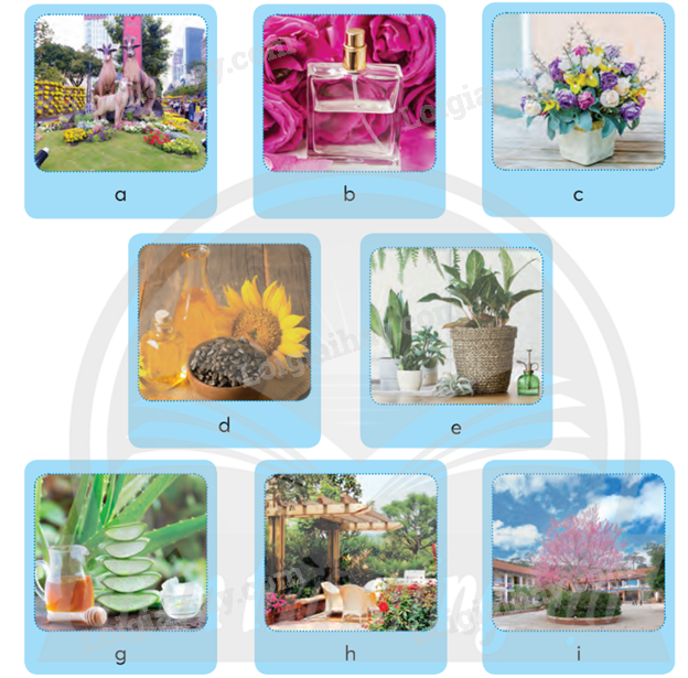 202406031523061 20 1