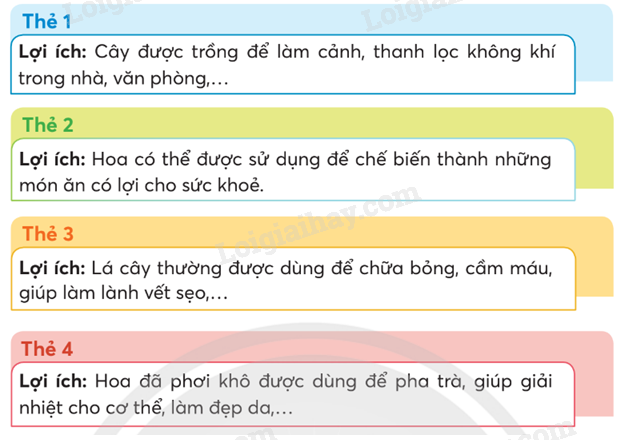 202406031523071 21 1