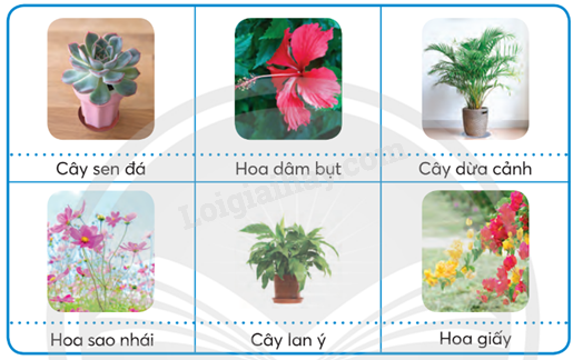 202406031523081 23 1