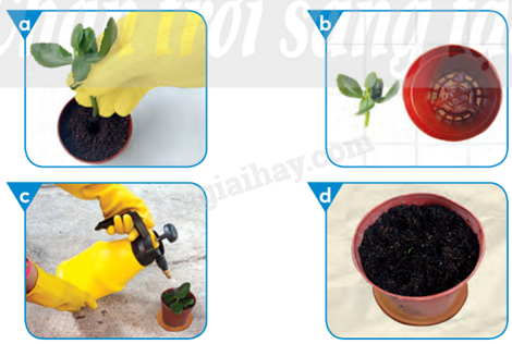 202406031523191_37-1 202406031523191 37 1