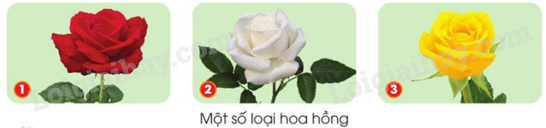 202406040127081_20-1 202406040127081 20 1